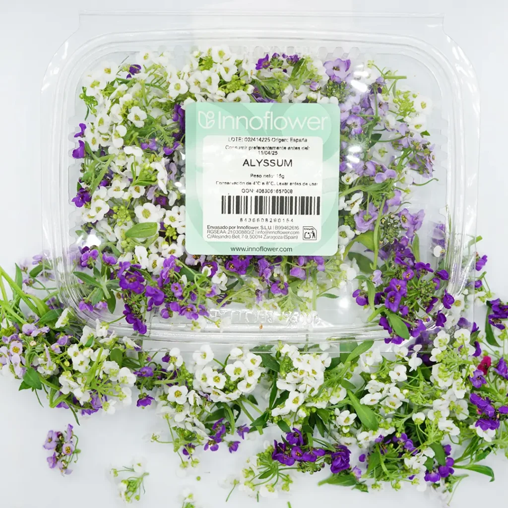 Alyssum-fresco-innoflower