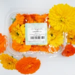 Calendula-fresca-innoflower