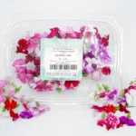 Clavelina-fresca-innoflower