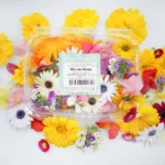 Mix-de-flores-frescas-innoflower