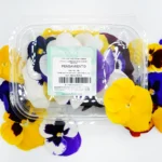 Pensamiento-fresco-innoflower