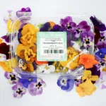 Pensamiento-mini-fresco-innoflower