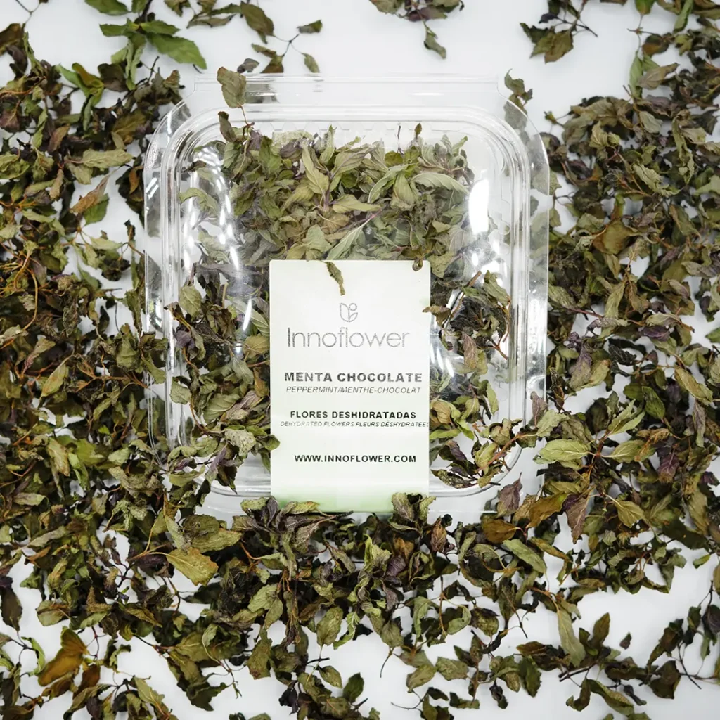 menta-chocolate-deshidratada-innoflower