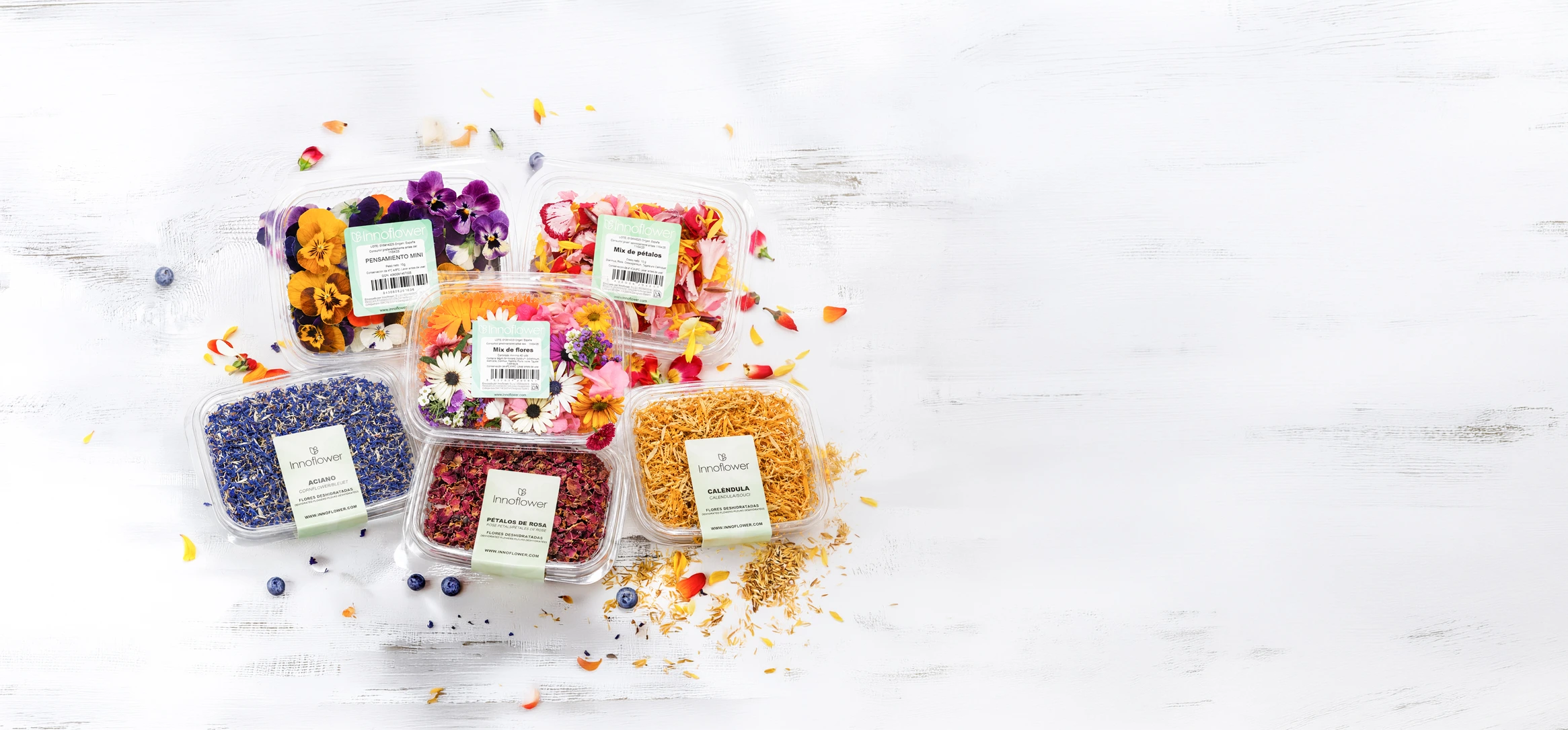 Pack-Flores-Frescas-Deshidratadas